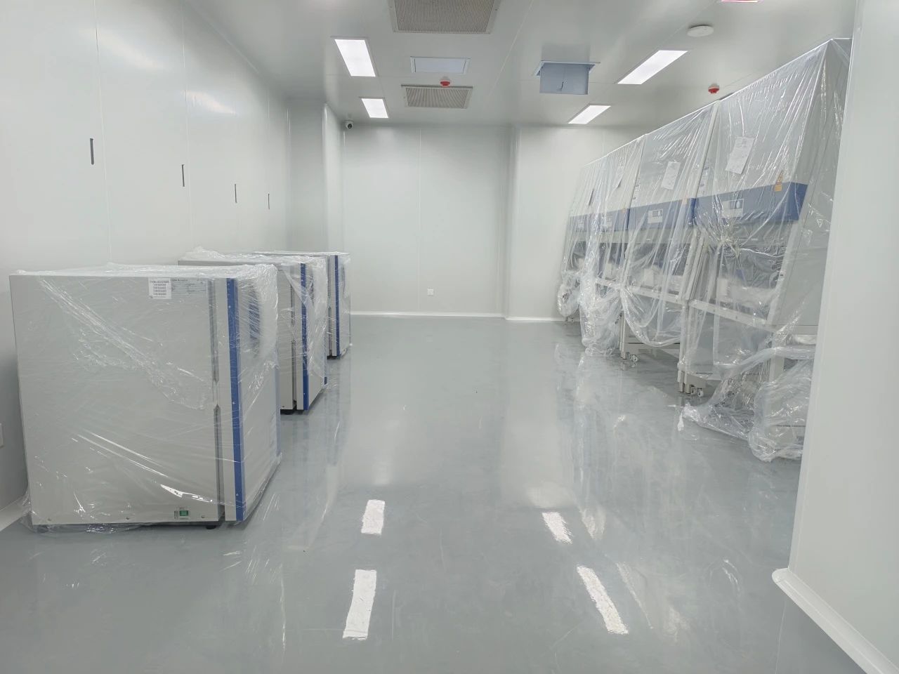 N 25.06.28-52.jpg